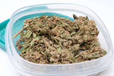 Plastik Konteynır marihuana görünümü yakın. Uyuşturucu bağımlılığı kavramı. Tıbbi esrar kavramı 