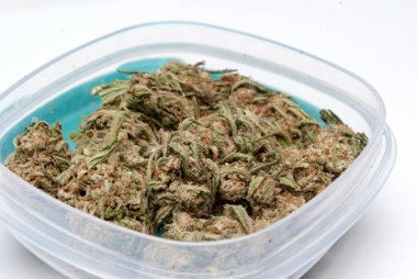 Plastik Konteynır marihuana görünümü yakın. Uyuşturucu bağımlılığı kavramı. Tıbbi esrar kavramı 