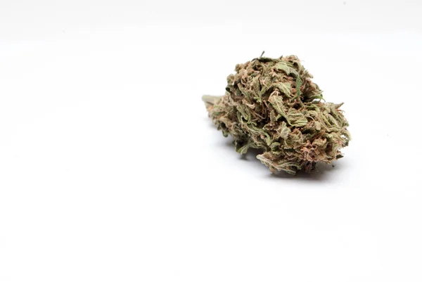 Getrocknetes Marihuana Auf Hellem Hintergrund Drogenabhängigkeit Medizinisches Marihuana Konzept — Stockfoto
