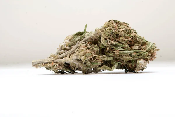 Marihuana Seca Sobre Fondo Claro Concepto Drogadicción Concepto Marihuana Medicinal —  Fotos de Stock