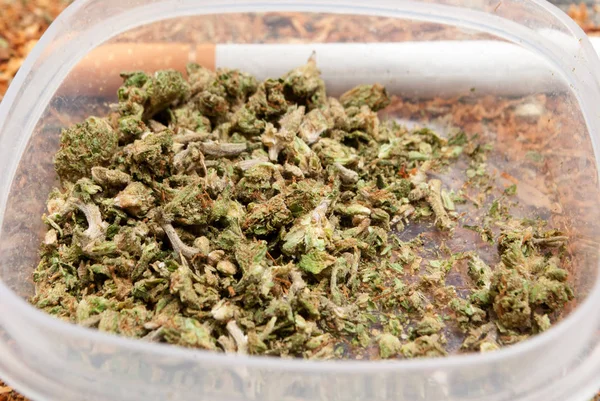 Närbild Torkad Marijuana Plastbehållare Narkotika Missbruk Koncept Medicinsk Marijuana Koncept — Stockfoto