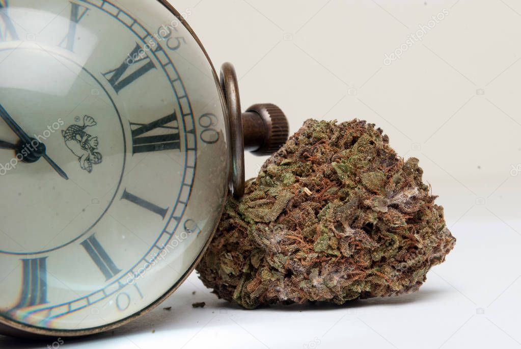 Dried marijuana and vintage clock. Drug addiction concept. Medical marijuana concept 