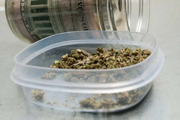 Bliska Widok Suszonych Marihuany Plastikowym Pojemniku Pieniądze Słoiku Szklanym Koncepcja — Zdjęcie stockowe