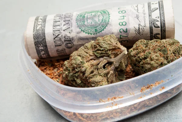 Torkad Marijuana Plastbehållare Och Pengar Narkotika Missbruk Koncept Medicinsk Marijuana — Stockfoto