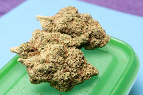 Nahaufnahme Von Getrocknetem Marihuana Auf Plastikbehältern Drogenabhängigkeit Medizinisches Marihuana Konzept — Stockfoto
