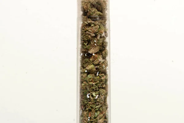Vista Cercana Marihuana Seca Tubo Plástico Concepto Drogadicción Concepto Marihuana —  Fotos de Stock