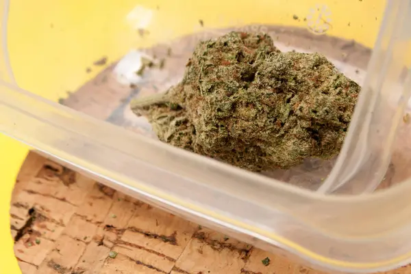 Suszona Marihuana Plastikowym Pojemniku Koncepcja Uzależnienia Narkotyków Koncepcja Medyczna Marihuana — Zdjęcie stockowe