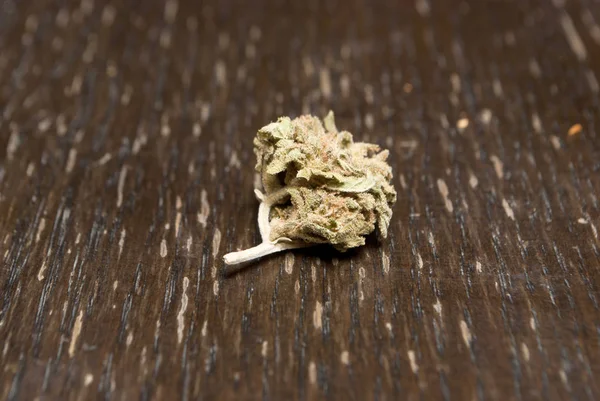 Marihuana Getrocknet Drogenabhängigkeit Medizinisches Marihuana Konzept — Stockfoto