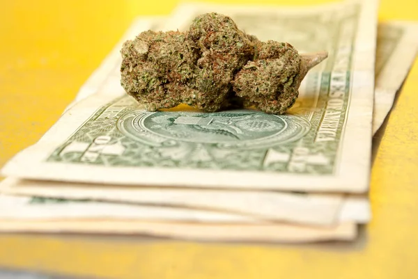 Marijuana and Money — Stock Photo, Image