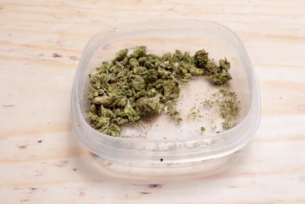 Bliska Widok Suszonej Marihuany Plastikowym Pojemniku Koncepcja Uzależnienia Narkotyków Koncepcja — Zdjęcie stockowe
