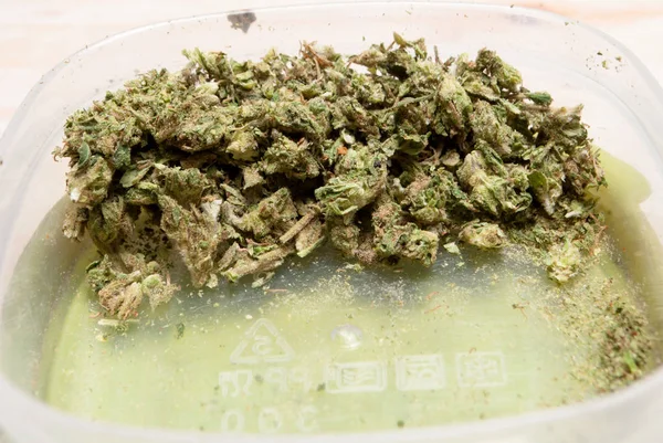 塑料容器中干大麻的特写镜头 吸毒概念 医用大麻概念 — 图库照片