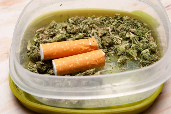 Zavřete Pohled Suchou Marihuanu Plastikových Nádobách Cigaretových Filtrech Koncept Drogové — Stock fotografie
