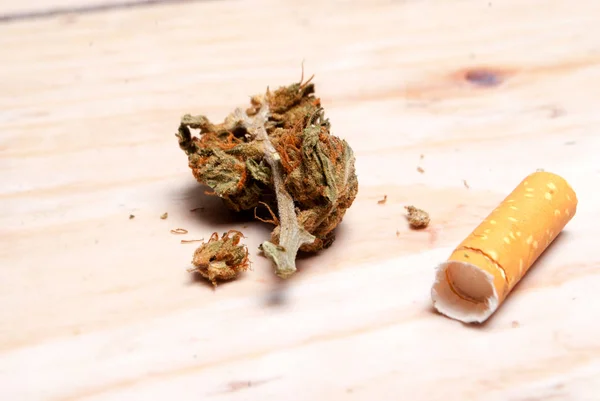 Marijuana Uscată Filtru Țigări Conceptul Dependență Droguri Conceptul Medical Marijuana — Fotografie, imagine de stoc