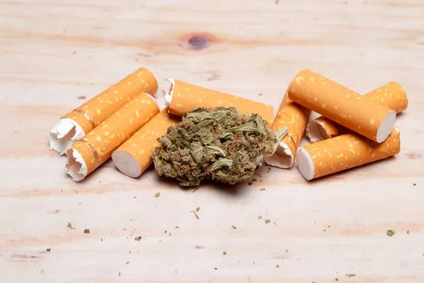 Getrocknetes Marihuana Und Zigarettenfilter Drogenabhängigkeit Medizinisches Marihuana Konzept — Stockfoto