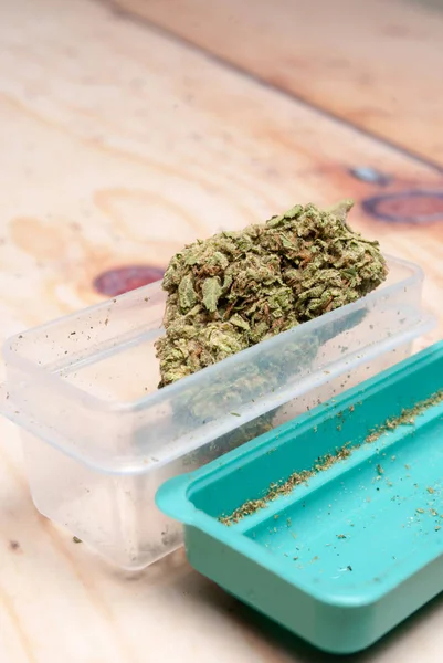 Gedroogde Marihuana Plastic Container Drugsverslaving Concept Medisch Marihuana Concept — Stockfoto