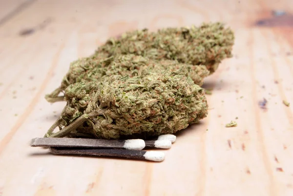Sušená Marihuana Zápalky Koncept Drogové Závislosti Koncepce Lékařské Marihuany — Stock fotografie