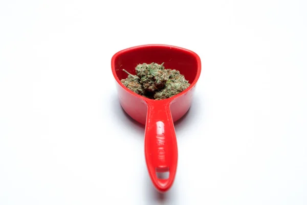 Marihuana Seca Tazón Rojo Con Mango Concepto Drogadicción Concepto Marihuana —  Fotos de Stock