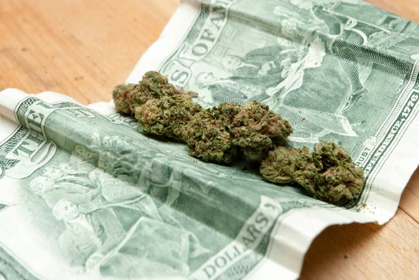 大麻和大麻芽在木桌上与钱 — 图库照片