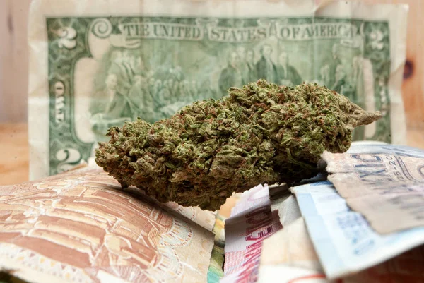 Marihuana Und Cannabisblüten Auf Holztisch Mit Geld Oder Banknoten Aus — Stockfoto