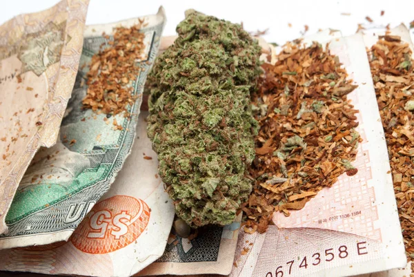 Marijuana and Money — Stock Photo, Image