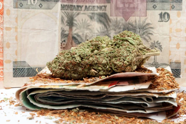 Marihuana und Geld — Stockfoto