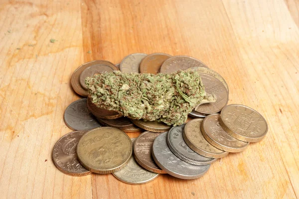 Dried Marijuana Coins Drug Addiction Concept Medical Marijuana Concept — Stock Photo, Image