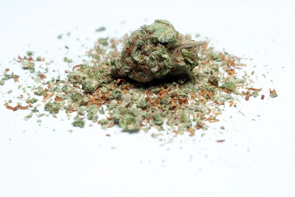 Marihuana Getrocknet Drogenabhängigkeit Medizinisches Marihuana Konzept — Stockfoto