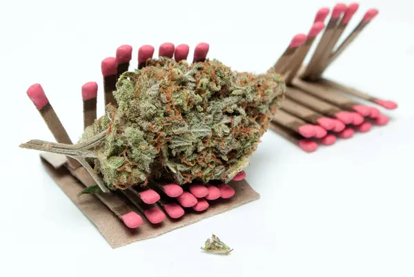 Gedroogde Marihuana Wedstrijden Drugsverslaving Concept Medisch Marihuana Concept — Stockfoto