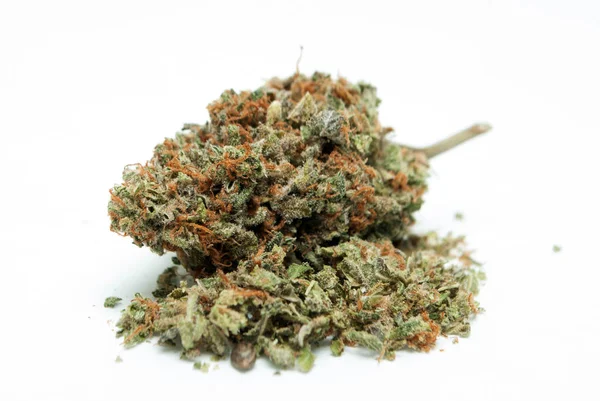 Gedroogde Marihuana Witte Achtergrond Drugsverslaving Concept Medisch Marihuana Concept — Stockfoto