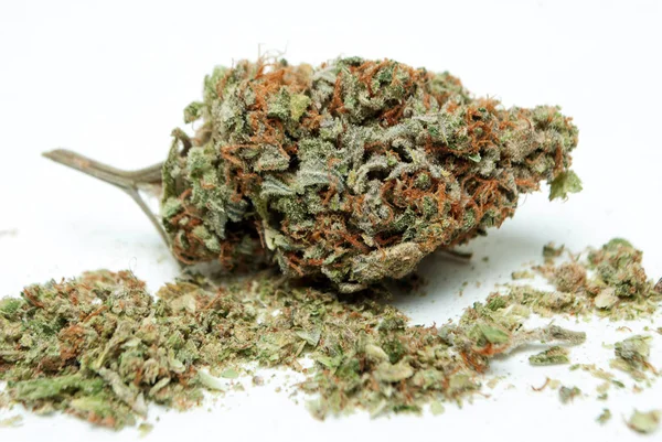 Torkad Marijuana Vit Bakgrund Narkotika Missbruk Koncept Medicinsk Marijuana Koncept — Stockfoto