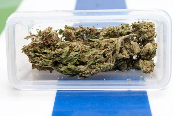 Getrocknetes Marihuana Plastikbehältern Auf Gestreiftem Hintergrund Drogenabhängigkeit Medizinisches Marihuana Konzept — Stockfoto