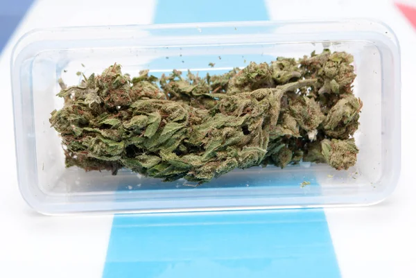 Suszona Marihuana Plastikowym Pojemniku Tle Pasiastej Koncepcja Uzależnienia Narkotyków Koncepcja — Zdjęcie stockowe