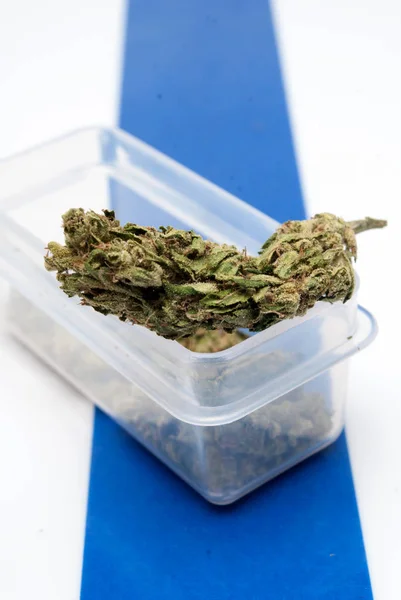 Torkad Marijuana Plastbehållare Randig Bakgrund Narkotika Missbruk Koncept Medicinsk Marijuana — Stockfoto