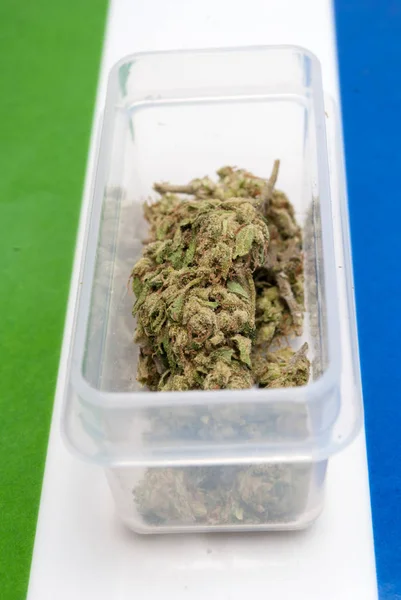Marihuana Seca Recipiente Plástico Sobre Fondo Rayado Concepto Drogadicción Concepto —  Fotos de Stock