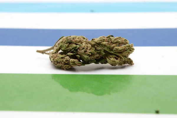 Torkad Marijuana Färgglada Randig Bakgrund Narkotika Missbruk Koncept Medicinsk Marijuana — Stockfoto