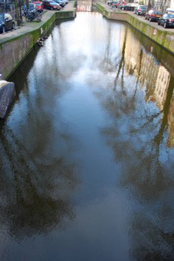 Yumuşak nehir suyundaki ağaçların yansıması