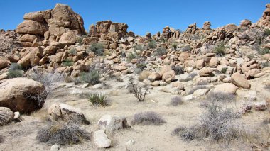 Dağ çöl peyzaj, kayalar ve çim