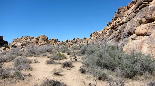 Mountain Desert Landscape, Rocks and Grass