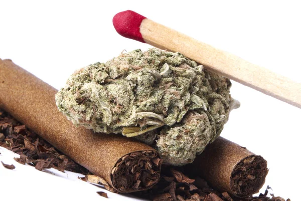 Getrocknetes Marihuana Und Tabak Drogenabhängigkeit Medizinisches Marihuana Konzept — Stockfoto