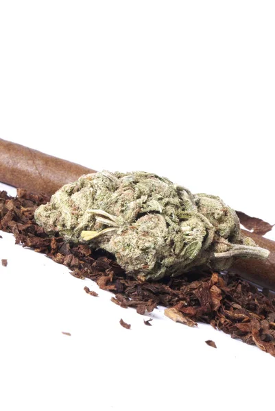 Dried Marijuana Tobacco Drug Addiction Concept Medical Marijuana Concept — Stock Photo, Image