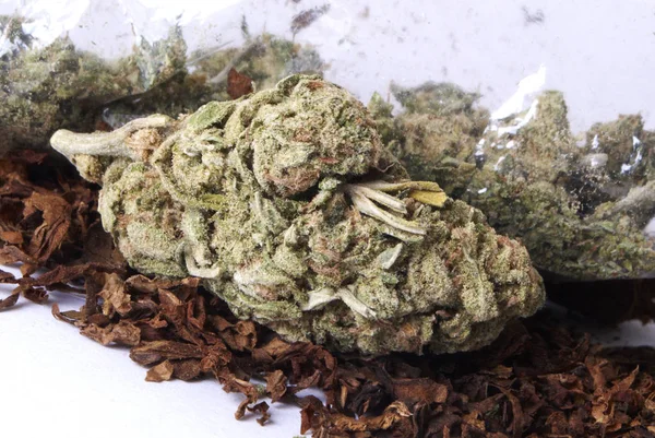 Marihuana Drogen Stillleben — Stockfoto