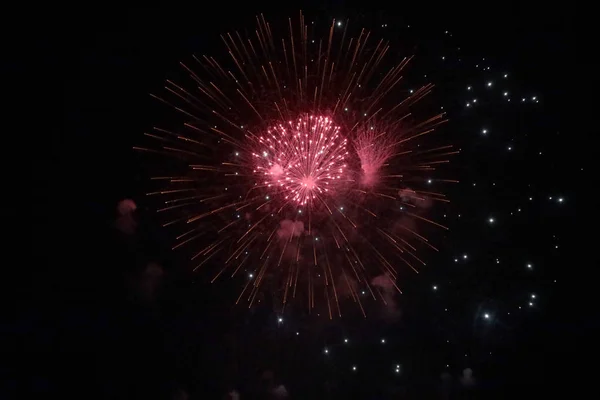 Celebração Fogos Artifício Explosão Cores Brilhantes — Fotografia de Stock