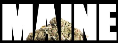 Siyah arka plan içinde marihuana ile Maine yazıt