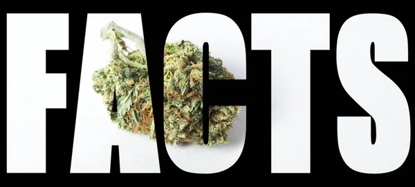 Fatti Iscrizione Con Marijuana All Interno Sfondo Nero — Foto Stock
