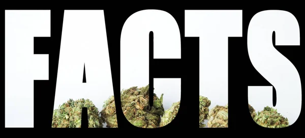 Fakty Napis Marihuaną Wewnątrz Czarnym Tle — Zdjęcie stockowe