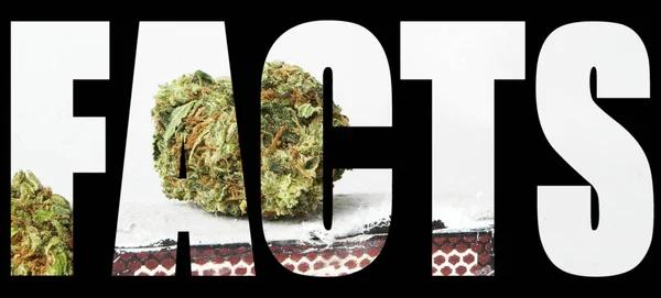 Tatsachenbeschreibung Mit Marihuana Drinnen Auf Schwarzem Hintergrund — Stockfoto