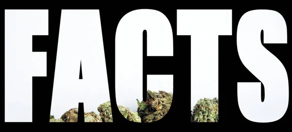 Facts Inscription Marijuana Black Background — Stock Photo, Image