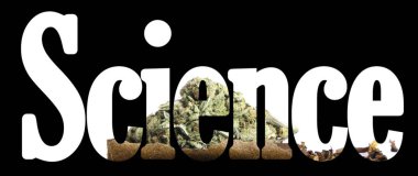 Siyah arka plan üzerinde içinde marihuana ile Bilim yazıt 