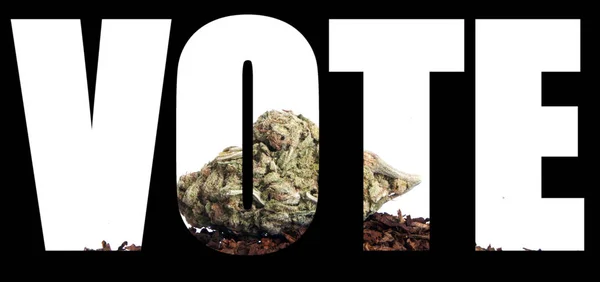 Vote Inscription Avec Marijuana Intérieur Sur Fond Noir — Photo