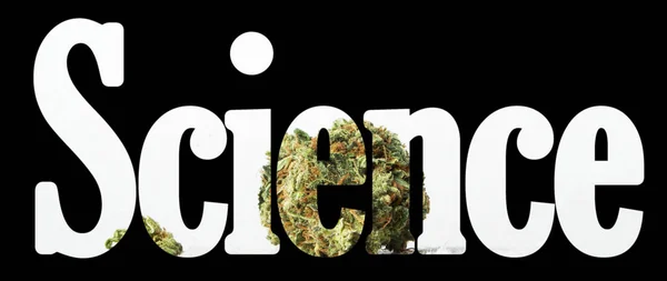 Wissenschaftlicher Schriftzug Mit Marihuana Auf Schwarzem Hintergrund — Stockfoto